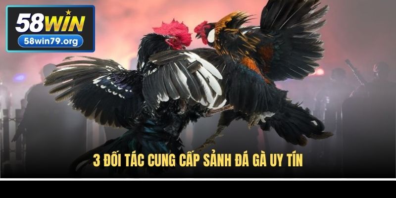 3 đối tác cung cấp sảnh đá gà uy tín