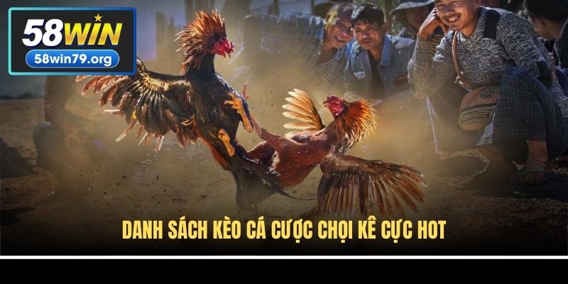 Danh sách kèo cá cược chọi kê cực hot