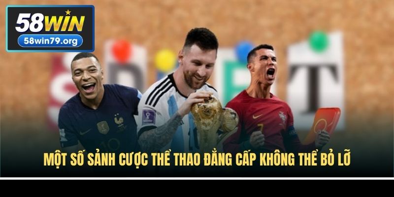 Một số sảnh cược thể thao đẳng cấp không thể bỏ lỡ